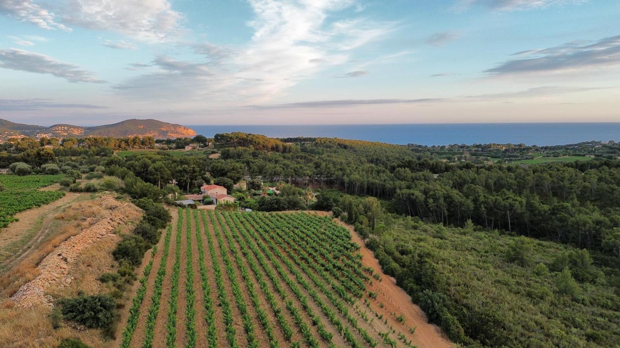 Gîte Vue Mer La Cadiere-d'Azur Extérieur photo